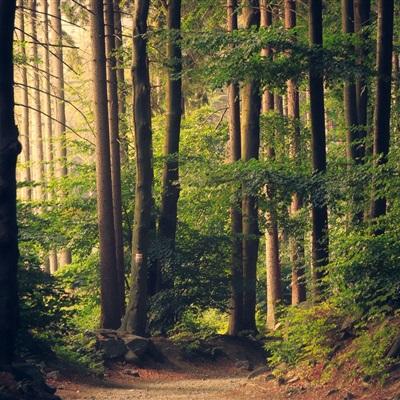 澳门·新甫京娱乐娱城